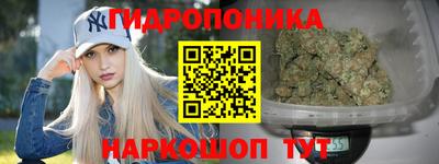 молекула духа Новозыбков