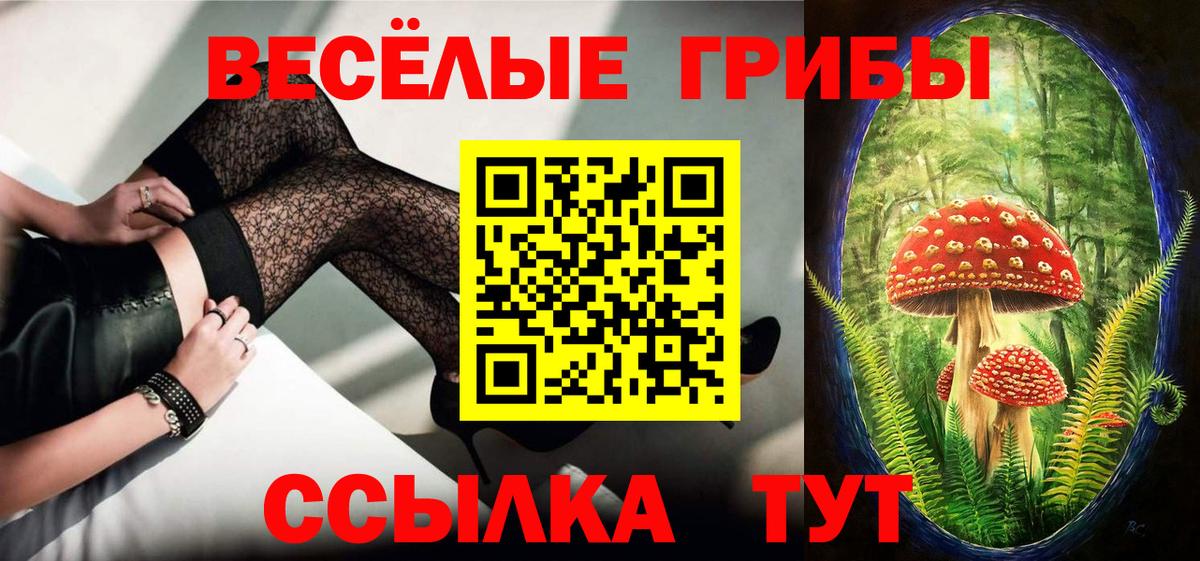 Галлюциногенные грибы ЛСД  Псилоцибиновые грибы Psilocybe  Вход с VPN  хочу наркоту  Усть-Джегута 